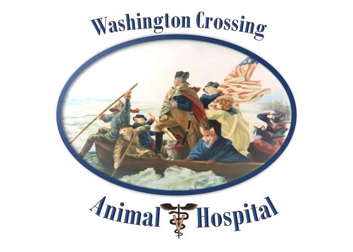 Animal Hospital in Washington Crossing, PA | Washington Crossing Animal  Hospital